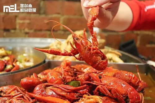 微報(bào)福利 墨爾本這家龍蝦店太拽啦 反手就給我來了一個龍蝦屆的 俄羅斯輪盤